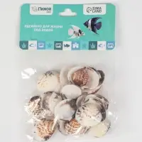 Набор ракушек, 2.5 - 4 см, 100 г