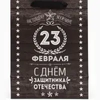 Пакет подарочный ламинированный, упаковка, &laquo;С 23 февраля&raquo;, MS 18&times;23&times;10 см