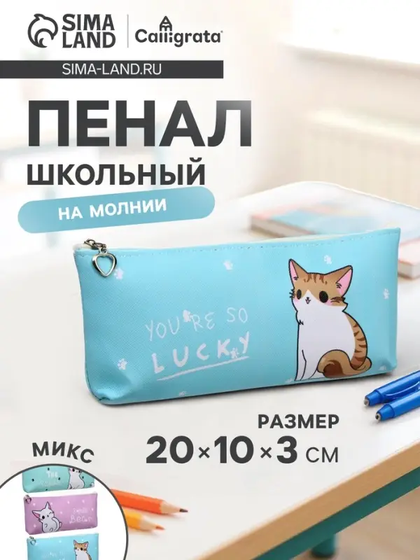 Пенал школьный на молнии Calligrata &laquo;Котик&raquo;, 1 отделение, плоский, МИКС
