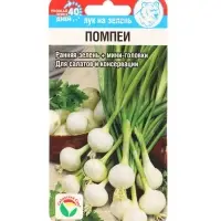 Семена Лук на зелень "Помпеи", 0,5 г