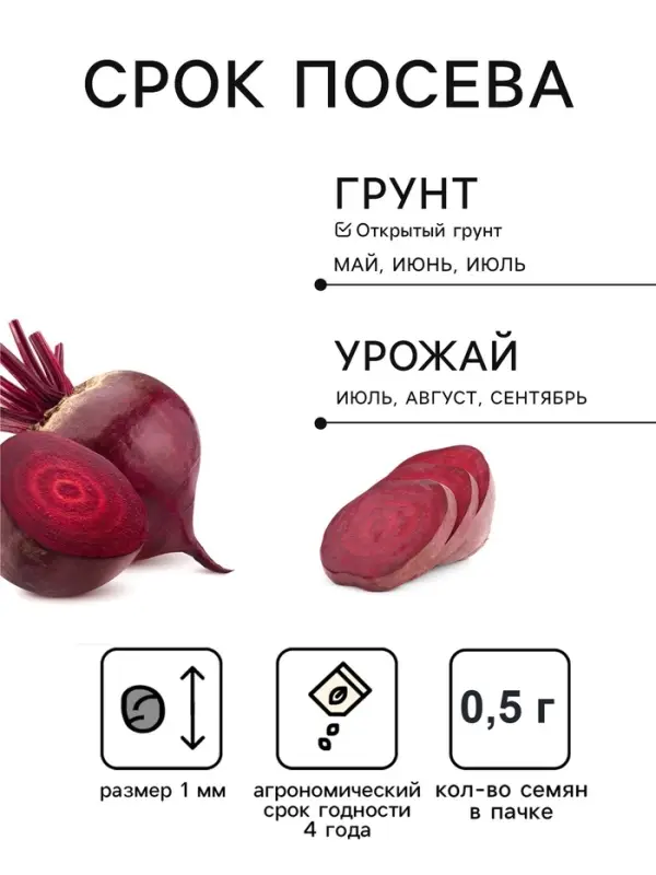 Семена Свекла &laquo;Пабло&raquo;, F1, ранняя, 0.5 г, &laquo;Тимирязевский питомник&raquo;