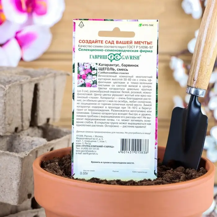 Семена комнатных цветов Барвинок  Семена комнатных цветов Барвинок "Щеголь", ц/п,  0,05 г