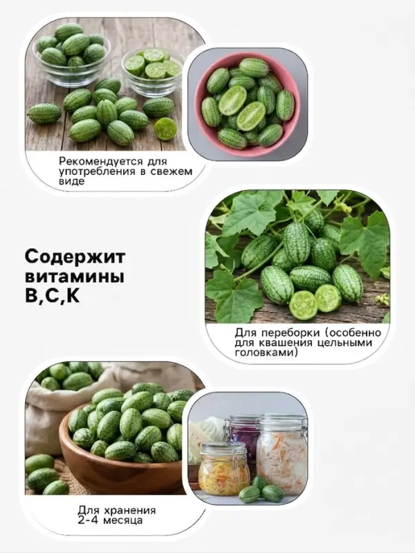 Семена Мелотрия шершавая &laquo;Колибри&raquo;, 0.015 г, &laquo;Урожай удачи&raquo;