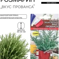 Семена Розмарин &laquo;Вкус Прованса&raquo;, 20 шт., &laquo;АЭЛИТА&raquo;