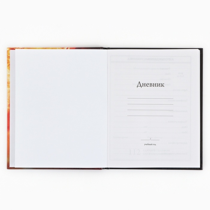 Дневник школьный 1-4 класса, в твердой обложке, 48 л &laquo;Футбольный мяч&raquo;