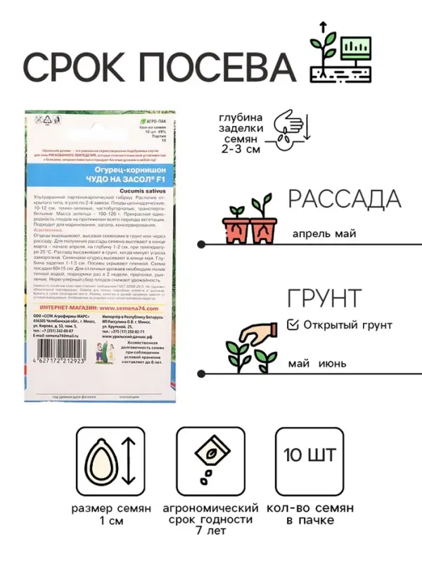 Семена Огурец  Семена Огурец "Чудо на засол", корнишон, F1, 10 шт