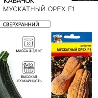Семена Кабачок &laquo;Мускатный орех&raquo;, F1 1 г, &laquo;УРОЖАЙ УДАЧИ&raquo;