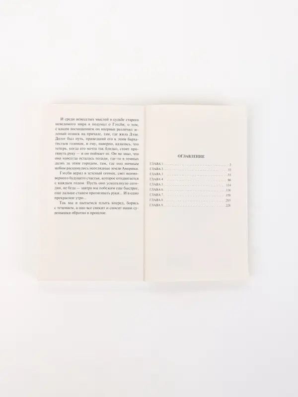 Книга &laquo;Великий Гэтсби&raquo;, Фрэнсис Скотт Фицджеральд