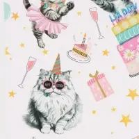 Бумага упаковочная глянцевая &laquo;Танцевальные поздравления&raquo;, 50&times;70 см