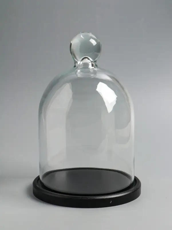 Стеклянный купол-клош на деревянной подставке 17х25 см, чёрный