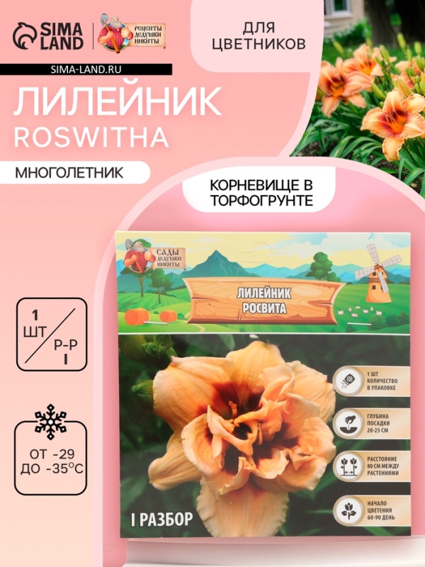 Лилейник Roswitha, многолетник, корневище в пакете с торфогрунтом, р-р I, 1 шт.