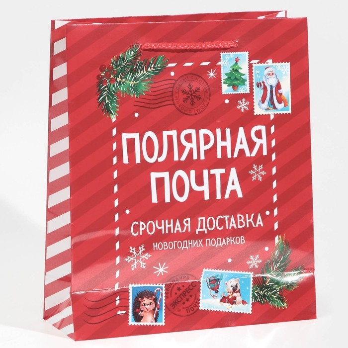 Пакет подарочный новогодний ламинированный «Полярная почта», ML 21 х 25 х 8 см Пакет подарочный новогодний ламинированный «Полярная почта», ML 21 х 25 х 8 см