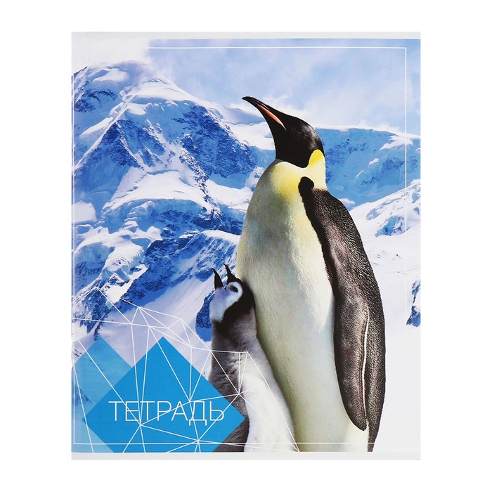 Комплект тетрадей из 4 штук, 96 листов в клетку Calligrata Комплект тетрадей из 4 штук, 96 листов в клетку Calligrata "Животные", обложка мелованный картон, блок №2, белизна 75% (серые листы)