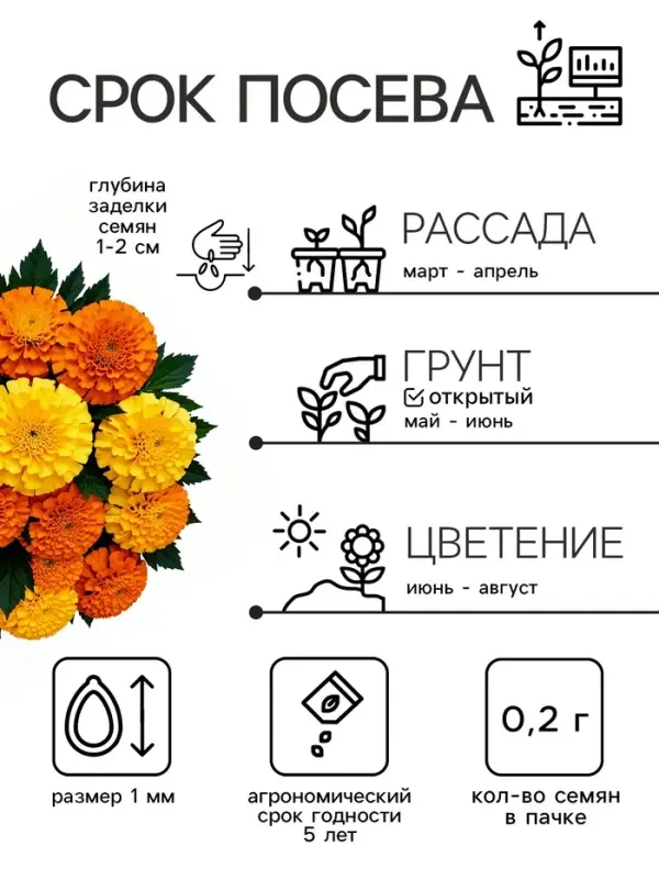 Семена цветов Бархатцы прямостоячие &laquo;Хлопушка&raquo;, 0.2 г, &laquo;Рецепты дедушки Никиты&raquo;