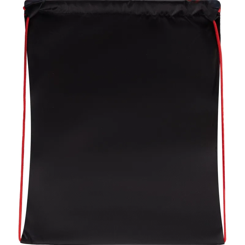 Сумка для сменной обуви цветная, ткань, СДС-3, SHARK ATTACK 2024