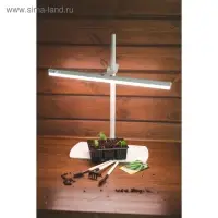 Кассета для рассады, 6 ячеек по 120 мл, пластик, чёрная, 18&times;13&times;6 см, набор 10 шт., Greengo