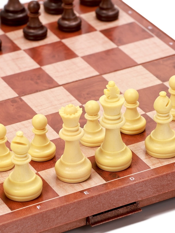 Шахматы магнитные 24 х 24 см, король h-4.9 см, пешка h-2.4 см Шахматы магнитные 24 х 24 см, король h-4.9 см, пешка h-2.4 см