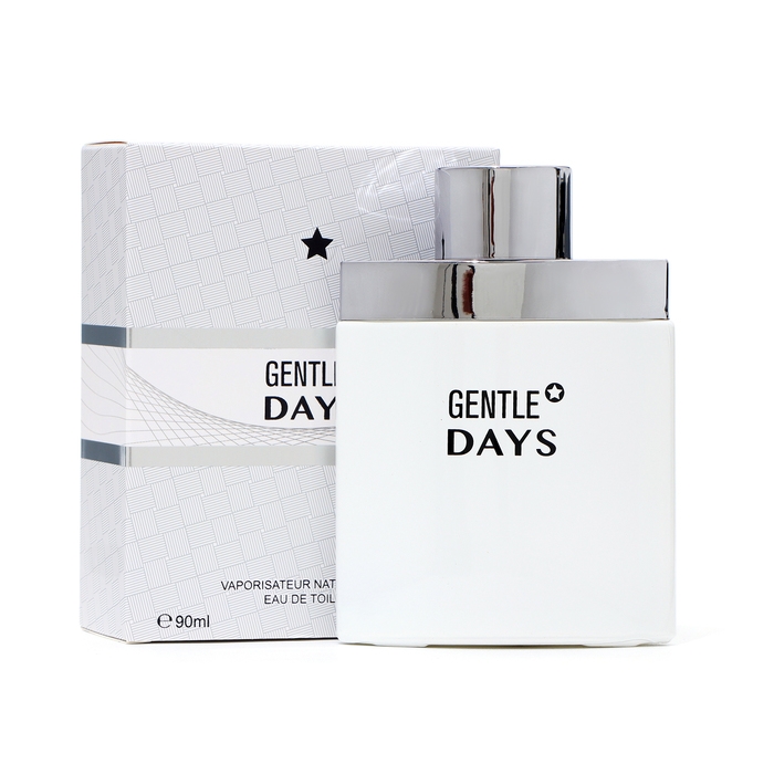 Туалетная вода мужская Gentle Days, 90 мл Туалетная вода мужская Gentle Days, 90 мл