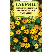 Семена цветов Тунбергия крылатая Черноглазая Сюзанна 0,3 г