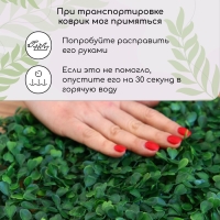 Декоративная панель, 25 × 25 см, «Мокрица», Greengo