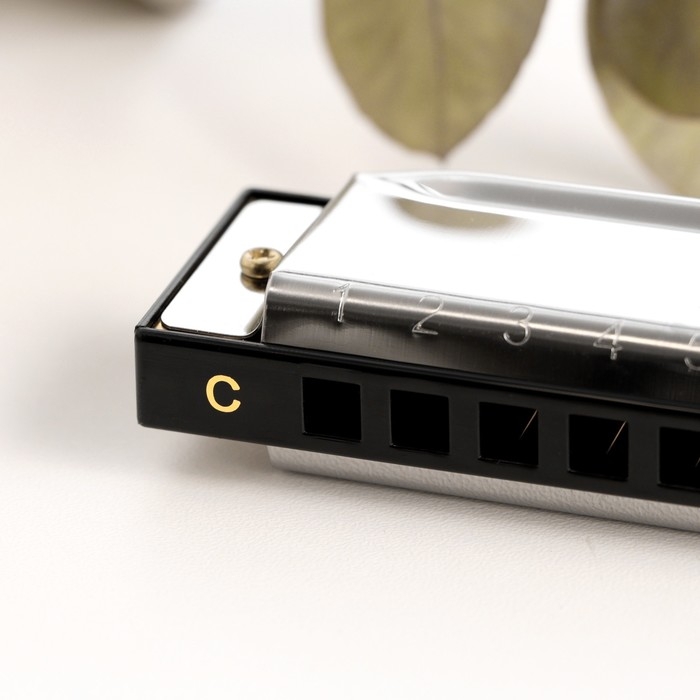 Губная гармошка Music Life T10-4 диатоническая, 10 отверстий, с футляром Губная гармошка Music Life T10-4 диатоническая, 10 отверстий, с футляром