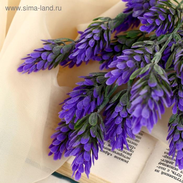 Букет  Букет "Шишечки" 28 см, микс