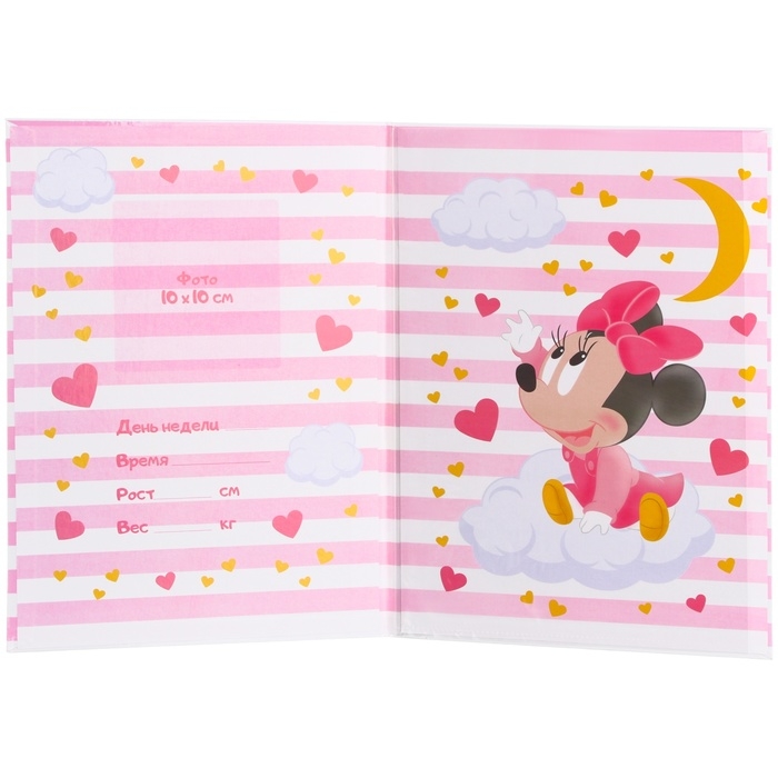 Папка для свидетельства о рождении, 1 файл 21х30 см, Минни Маус Папка для свидетельства о рождении, 1 файл 21х30 см, Минни Маус