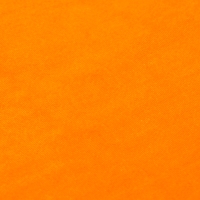 Лоскут, плюш на трикотажной основе, оранжевый, 100 × 150 см, 100% п/э