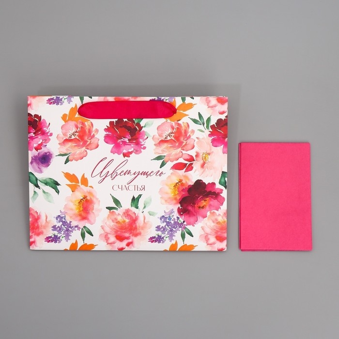 Пакет подарочный ламинированный с тишью, упаковка, «Счастье», MS 23 х 18 х 10 см