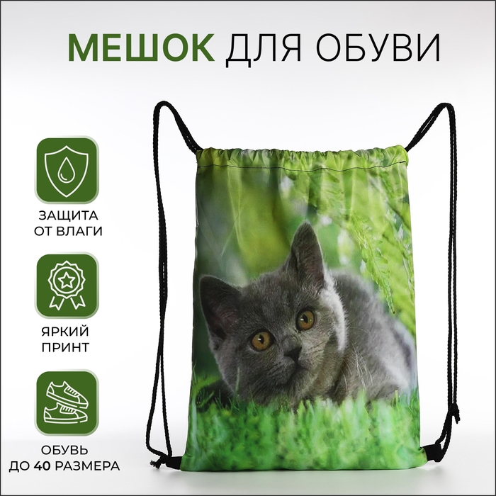 Мешок для обуви на шнурке, цвет зелёный Мешок для обуви на шнурке, цвет зелёный