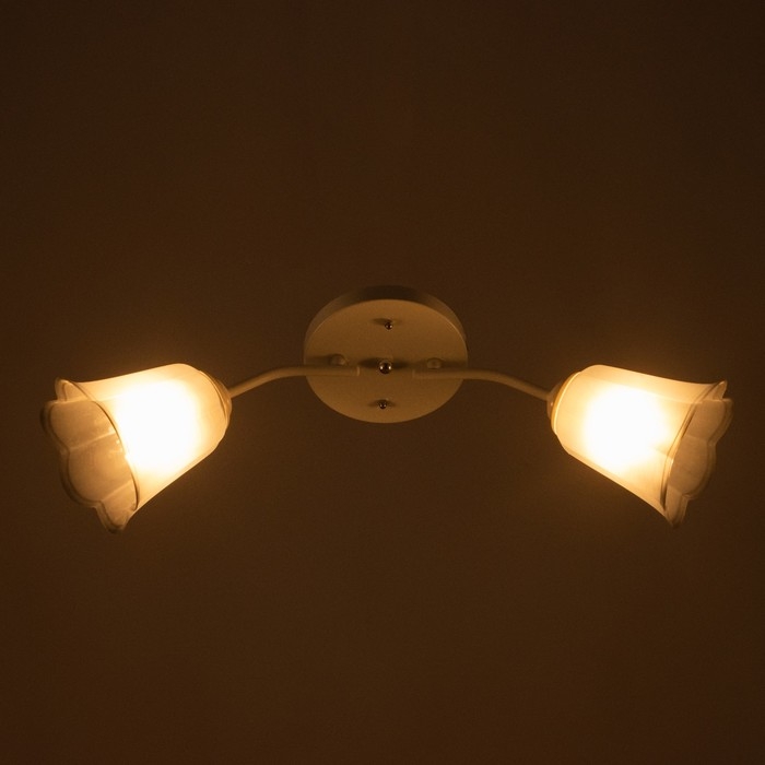 Люстра Люстра "Онлайн" (цветок) 2х15Вт Е27 МОДЕЛЬ: BR 00198 белый/черный