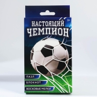 Подарочный набор блокнот - раскраска, мелки 4 шт. «Настоящий чемпион»