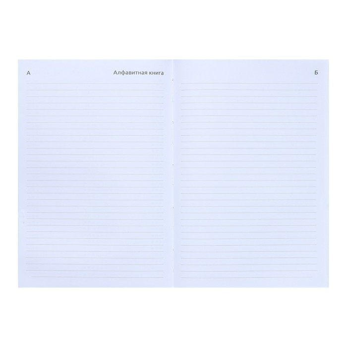 Ежедневник датированный 2024 года, А5, 176 листов, Attomex.Regent, обложка бумвинил, ляссе, блок 70 г/м2, синий Ежедневник датированный 2024 года, А5, 176 листов, Attomex.Regent, обложка бумвинил, ляссе, блок 70 г/м2, синий