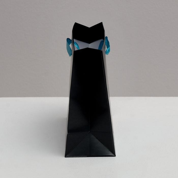 Пакет подарочный ламинированный горизонтальный, упаковка, «Present for you», 22 х 17.5 х 8 см