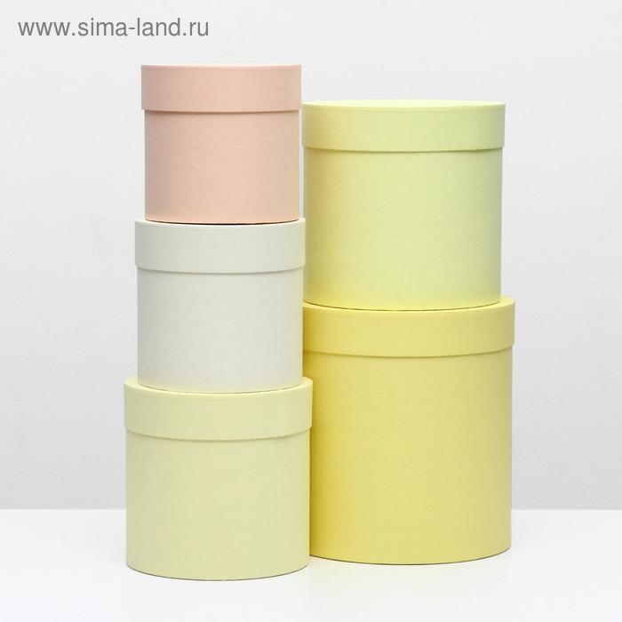 Набор круглых коробок 5 в 1 UPAK LAND ,Солнечный, 23 х 23 х 25 - 15 х 15 х 15 см Набор круглых коробок 5 в 1 UPAK LAND ,Солнечный, 23 х 23 х 25 - 15 х 15 х 15 см