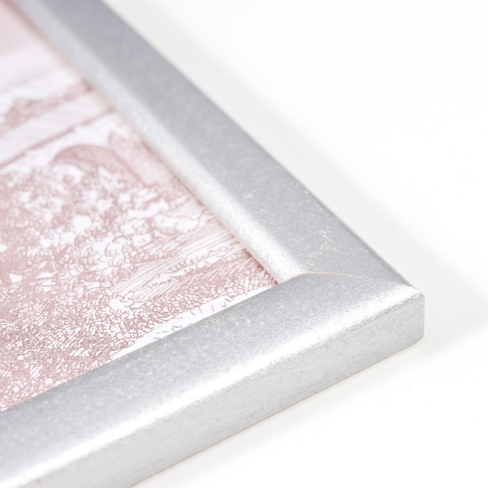 Фоторамка сосна с19 серебро 15х21 см (пластиковый экран) Фоторамка сосна с19 серебро 15х21 см (пластиковый экран)