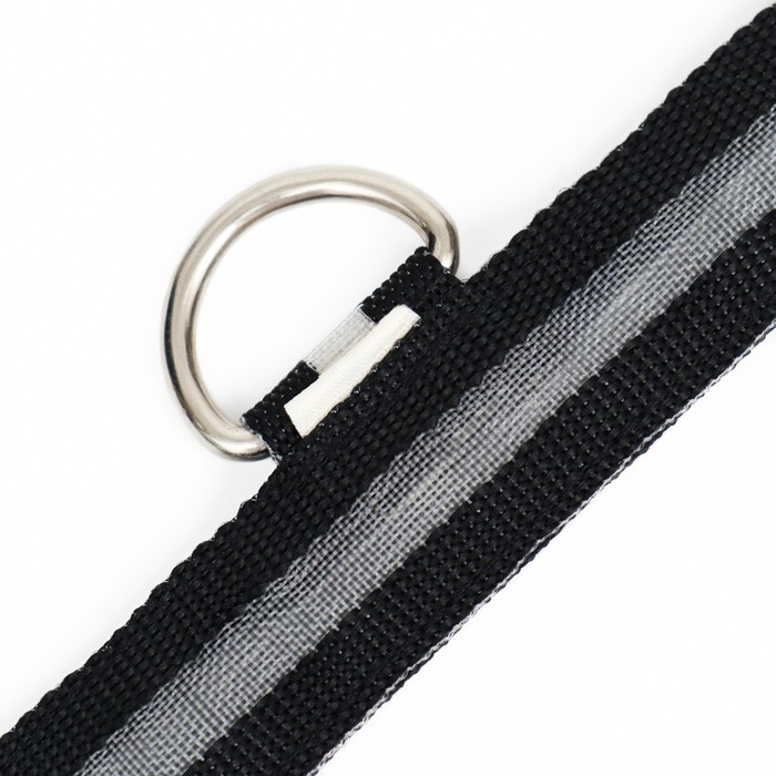 Ошейник с подсветкой размер L, ОШ 45-52 х 2,5 см, 3 режима свечения чёрный Ошейник с подсветкой размер L, ОШ 45-52 х 2,5 см, 3 режима свечения чёрный