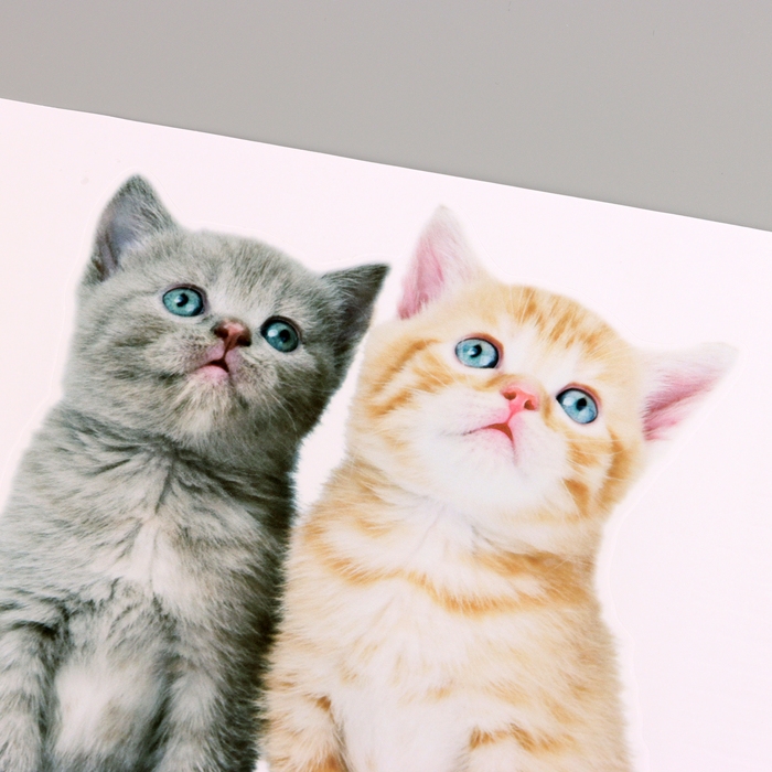 Наклейка 3Д интерьерная Котики 29*21см Наклейка 3Д интерьерная Котики 29*21см