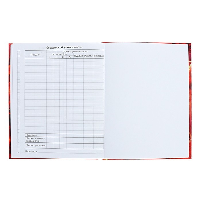 Дневник для 5-11 классов Дневник для 5-11 классов "Аниме. Парень", твёрдая обложка, глянцевая ламинация, 48 листов