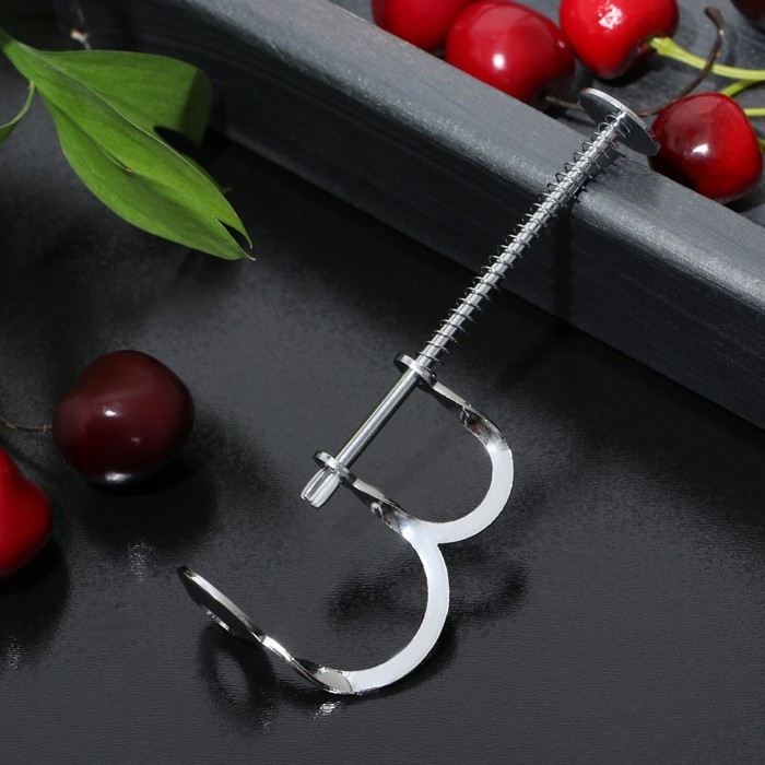 Удалитель косточек Доляна «Любитель», 12,5 см, цвет серебряный Удалитель косточек Доляна «Любитель», 12,5 см, цвет серебряный