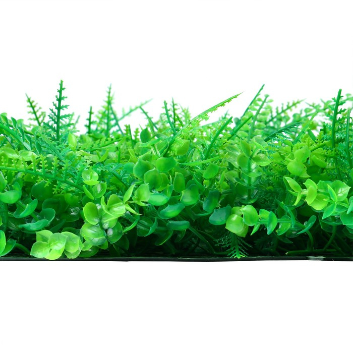 Декоративная панель, 60 × 40 см, «Самшит, Папоротник», Greengo Декоративная панель, 60 × 40 см, «Самшит, Папоротник», Greengo