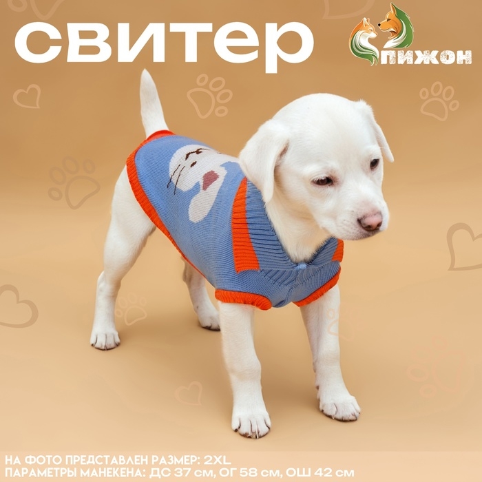 Свитер "Зайка", 2XL (ДС 34, ОШ 34, ОГ 32-51 см)