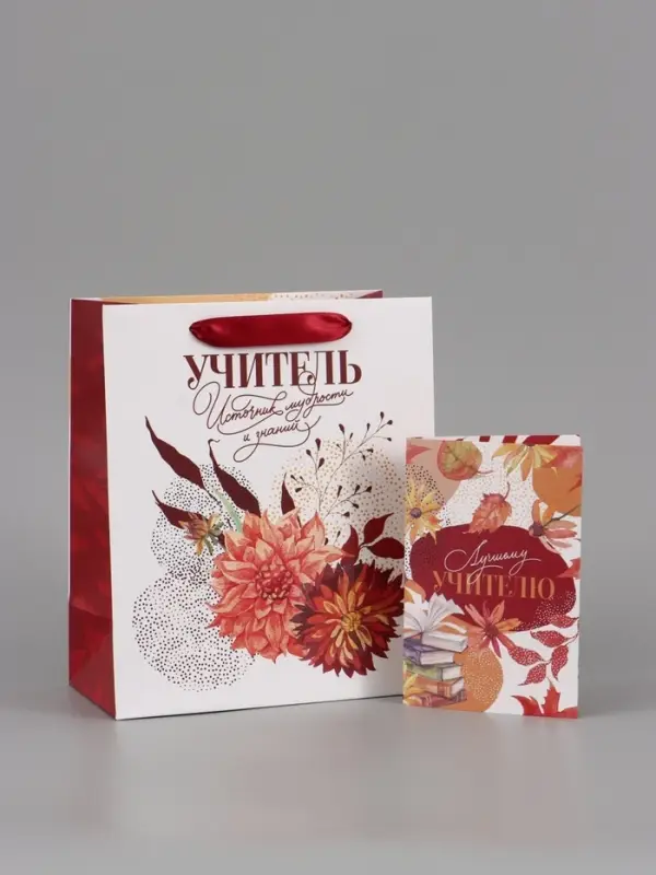 Подарочный набор &laquo;Учитель&raquo;, пакет и открытка, ML 27 &times; 23 &times; 11,5 см