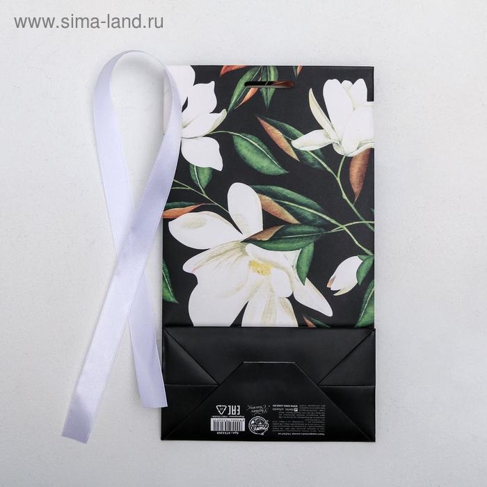 Пакет подарочный с лентой, упаковка, &laquo;Present&raquo;, 13 х 23 х 7 см