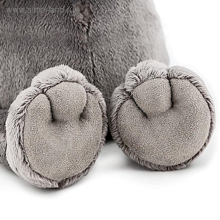 Мягкая игрушка «Енотик Дэнни», в бабочке, 25 см Мягкая игрушка «Енотик Дэнни», в бабочке, 25 см