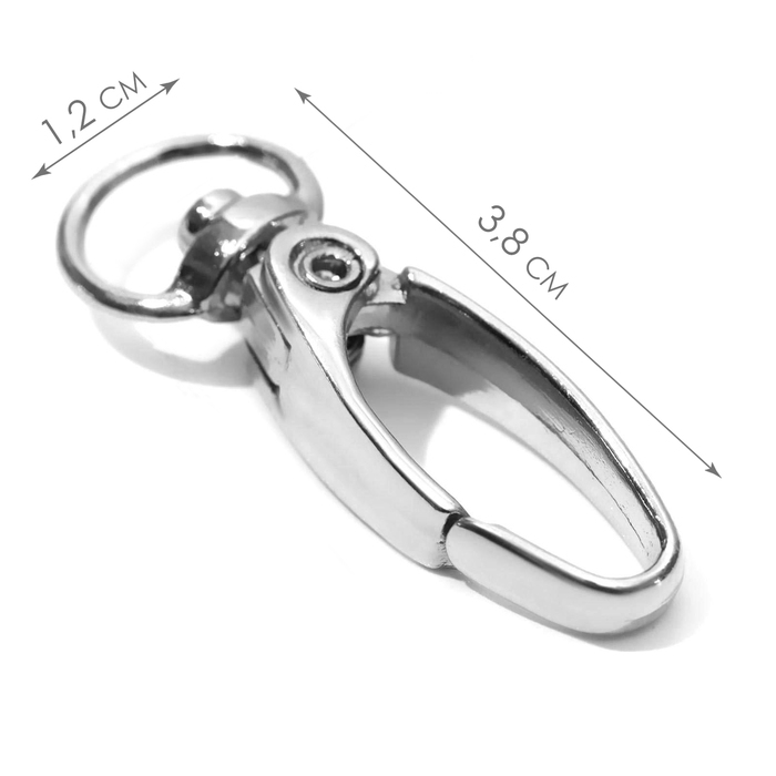 Карабин металлический, 38 × 12 мм / 10 × 1 мм, 6 шт, цвет серебряный Карабин металлический, 38 × 12 мм / 10 × 1 мм, 6 шт, цвет серебряный