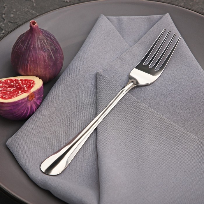 Вилка столовая Доляна «Плэйн Бритиш», длина 19,1 см, толщина 1,2 мм, цвет серебряный Вилка столовая Доляна «Плэйн Бритиш», длина 19,1 см, толщина 1,2 мм, цвет серебряный