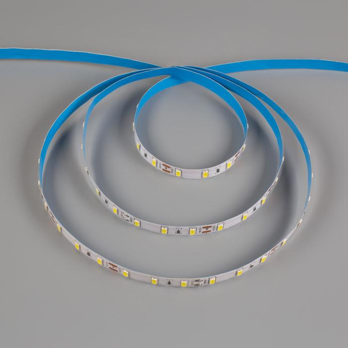 Светодиодная лента Ecola PRO 5 м, IP20, SMD2550, 60 LED/м, 19 Вт/м, 12 В, 4200К Светодиодная лента Ecola PRO 5 м, IP20, SMD2550, 60 LED/м, 19 Вт/м, 12 В, 4200К