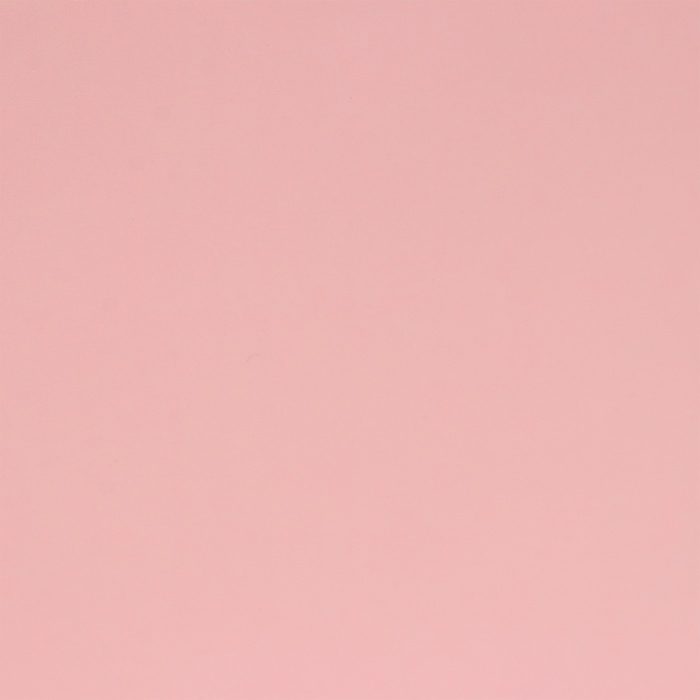 Пакет ламинированный «Сирень», ML 23 × 27 × 11.5 см