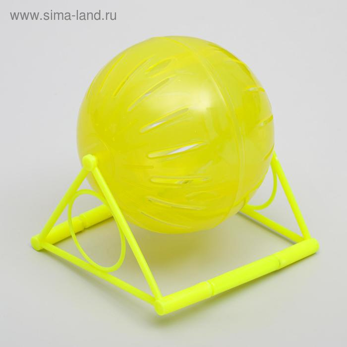 Шар для грызунов на пластиковом основании, 12 см, микс цветов Шар для грызунов на пластиковом основании, 12 см, микс цветов